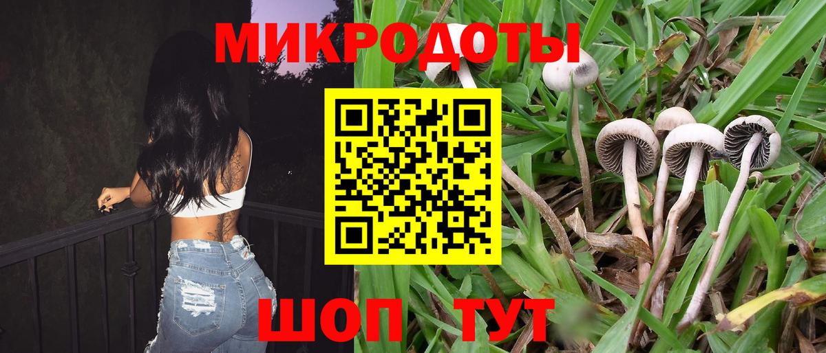 Псилоцибиновые грибы Psilocybine cubensis  Псилоцибиновые грибы прущие грибы  Новороссийск  Вход с VPN 